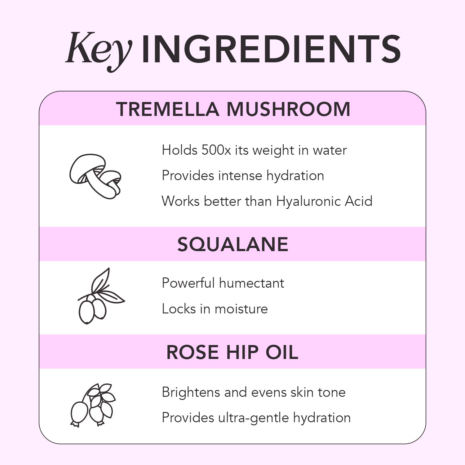 Graphic titled 'Key Ingredients' with illustration of mushroom, branch with olives and rose hip seeds with descriptions: Tremella Mushroom, Squalane and Rose Hip Oil