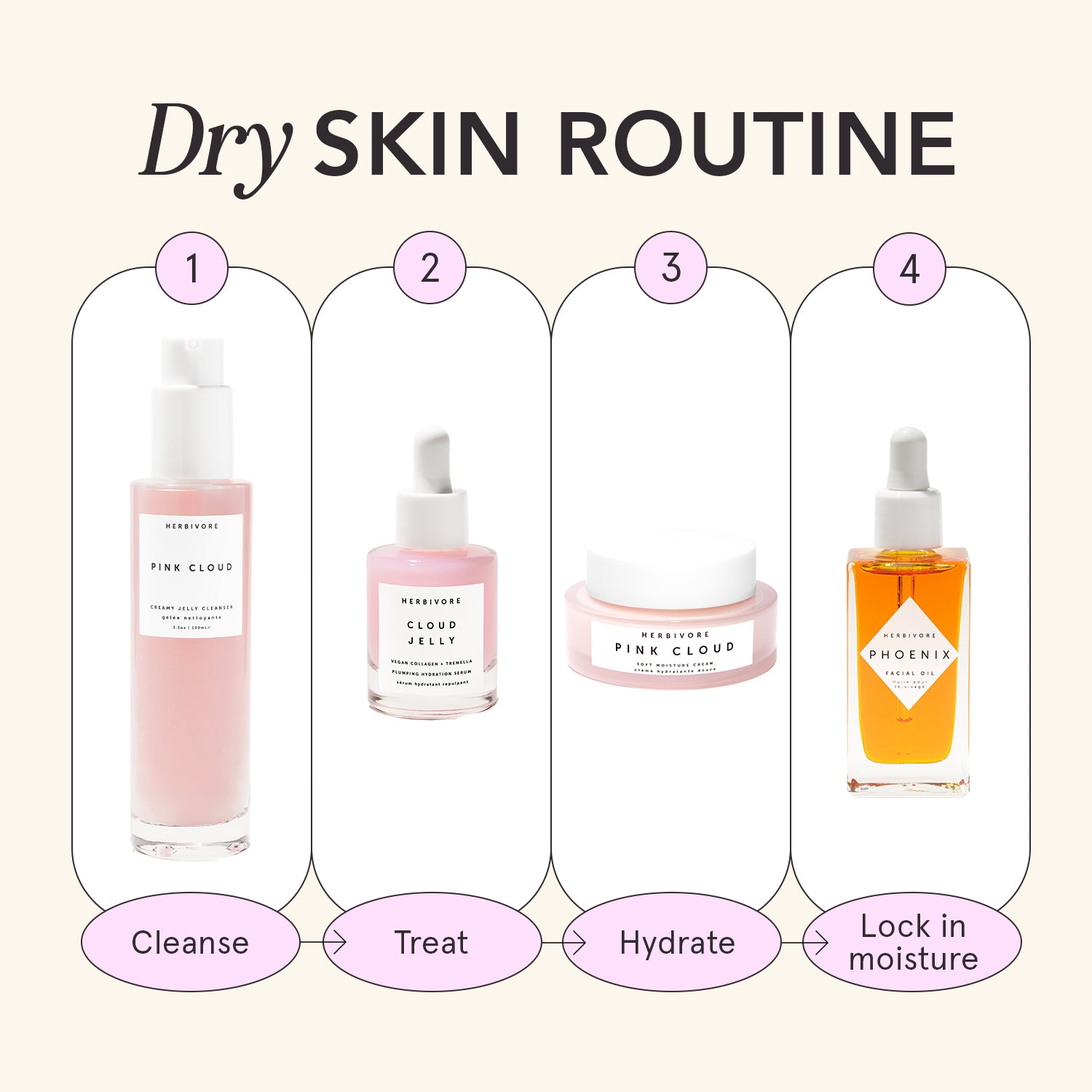 Infographic titled "Dry Skin Routine" numbered one through four. 1) Cleanse with Pink Cloud Cleanser 2) Treat with Cloud Jelly Serum 3) Hydrate with Pink Cloud Cream and 4) Lock in moisture with Phoenix Face Oil