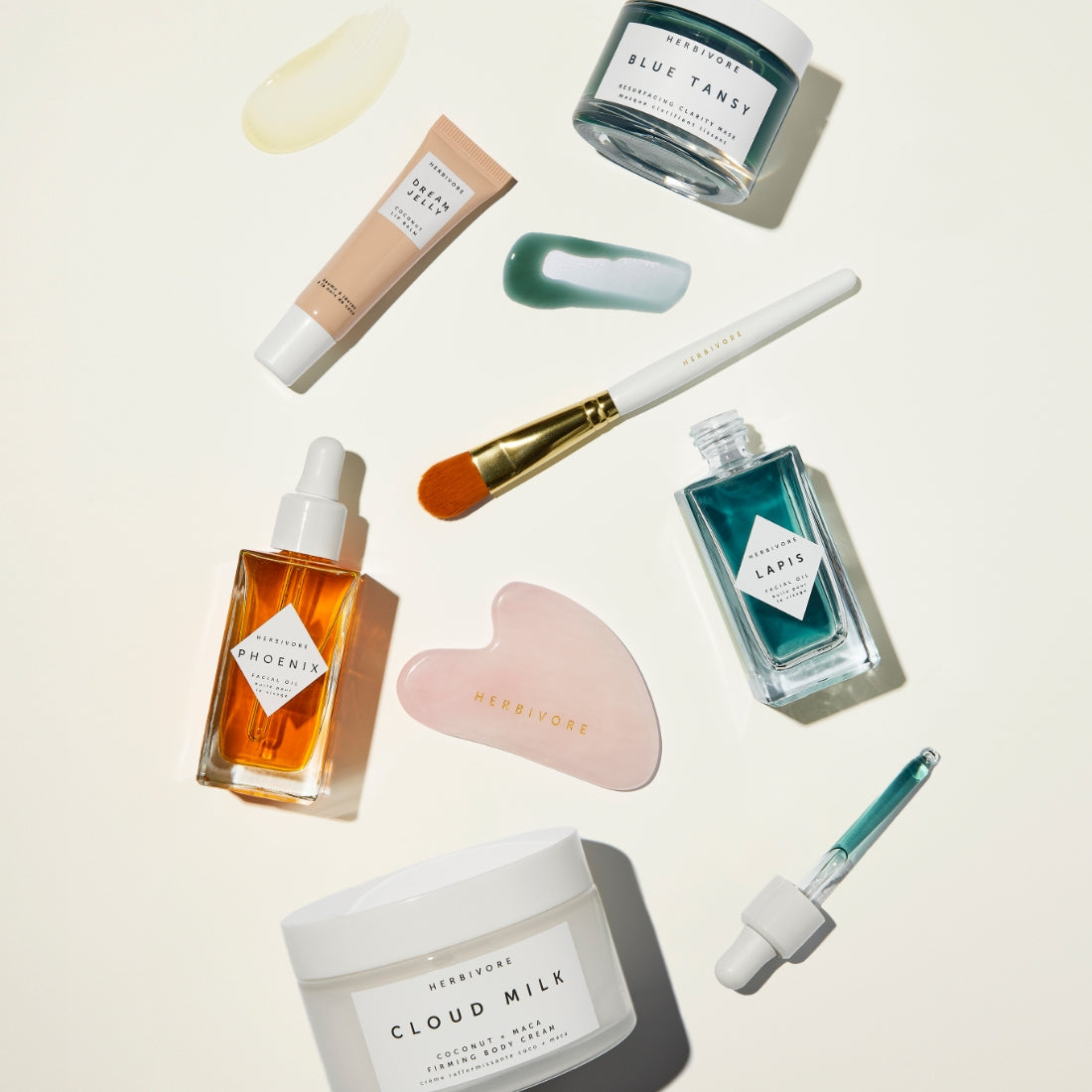 Fun Facts About Herbivore