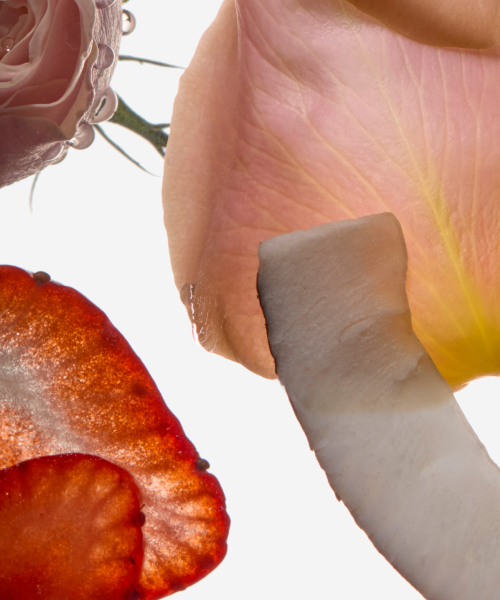 Coco Rose – Herbivore Botanicals