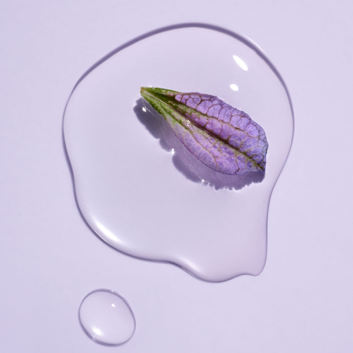 Close-up of jelly-like Bakuchiol Retinol Alternative Serum with purple plant on top