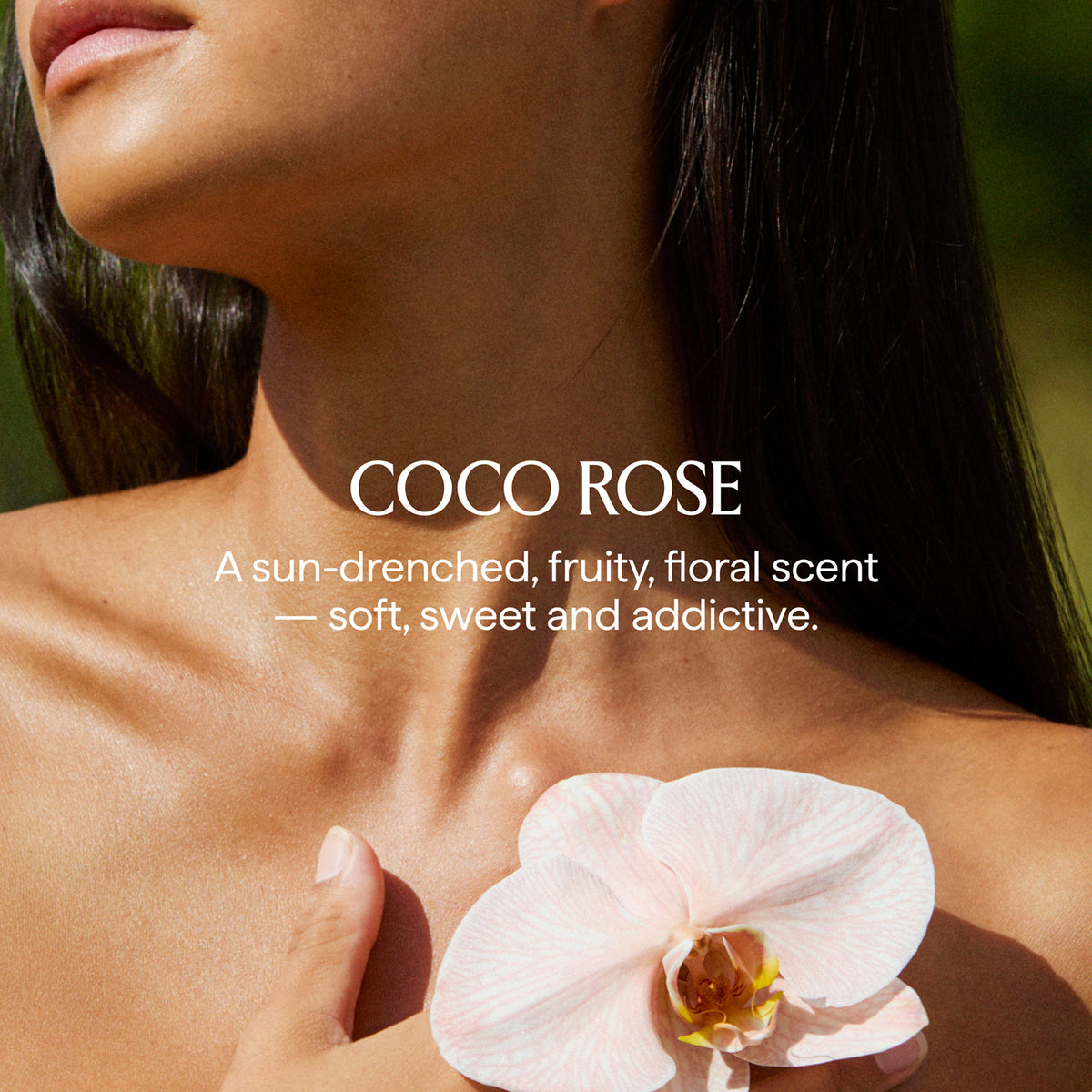 Coco Rose Ritual Body Set