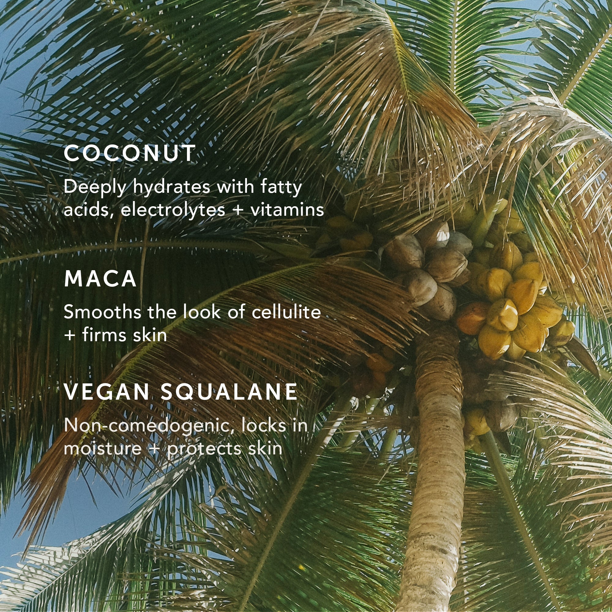 CLOUD MILK Coconut + Maca Firming Body Cream