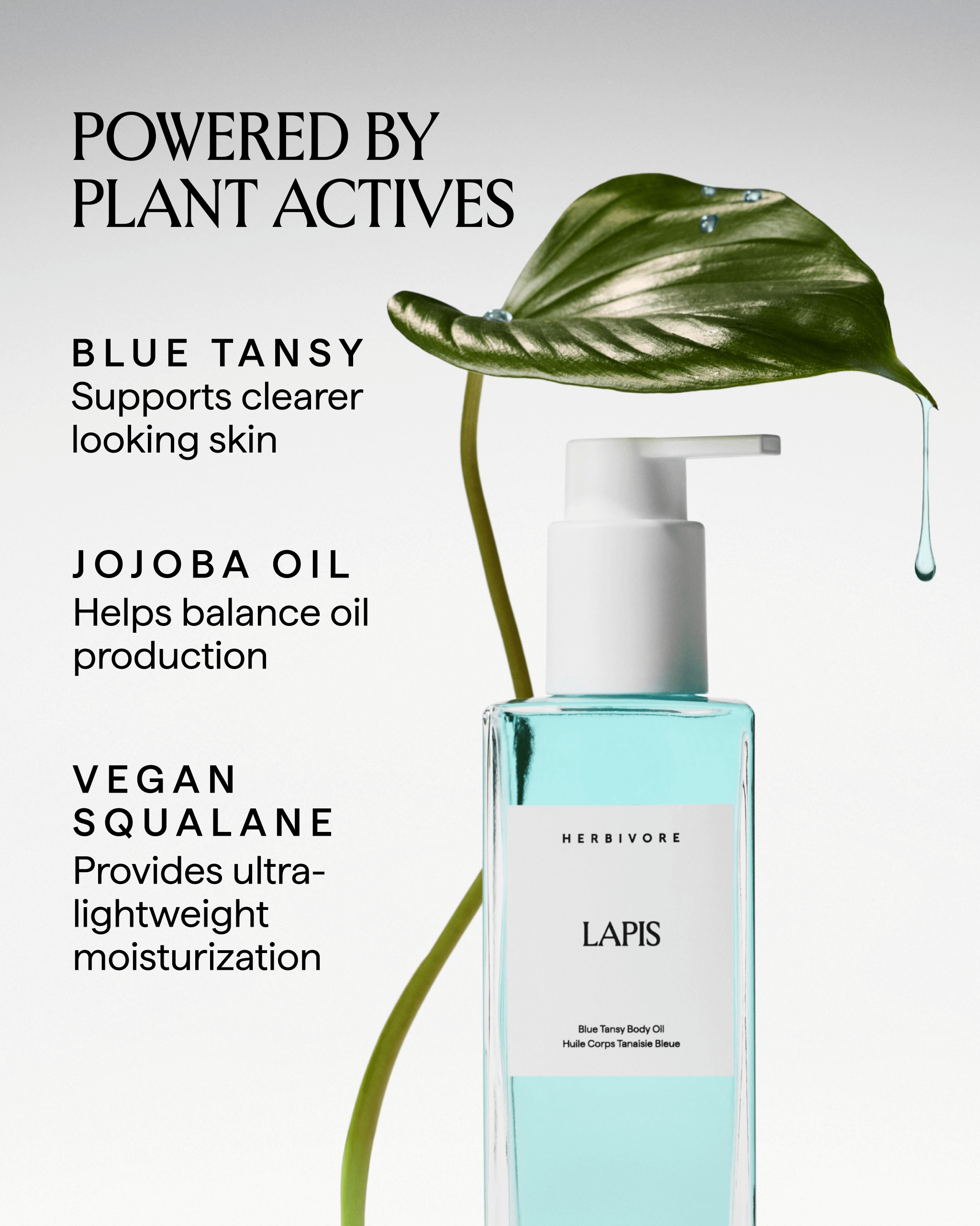 LAPIS Blue Tansy + Squalane Balancing Body Oil