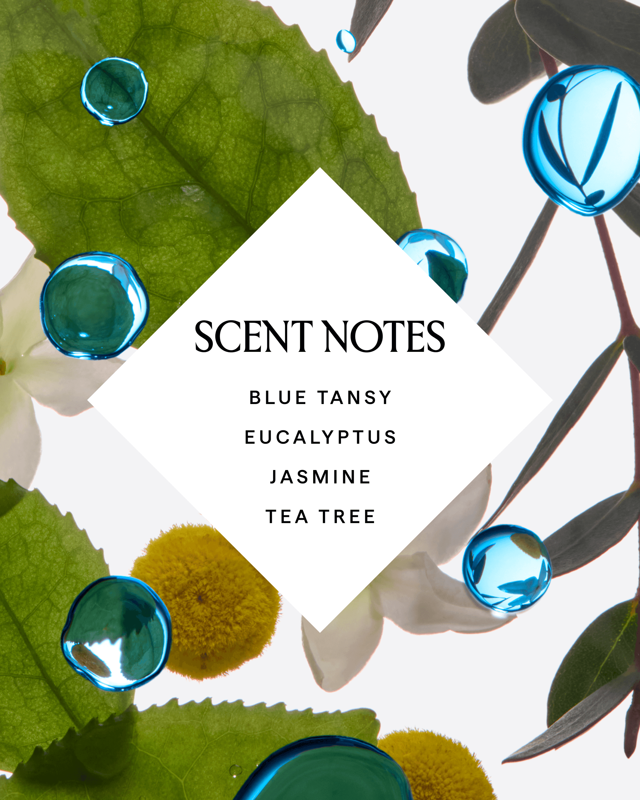 LAPIS Blue Tansy + Squalane Balancing Body Oil