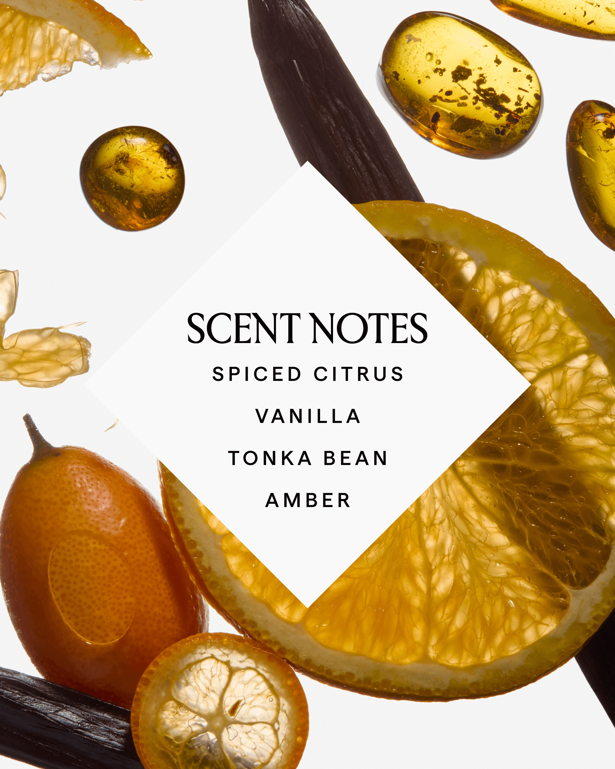 PHOENIX Rosehip + Sea Buckthorn Body Cream